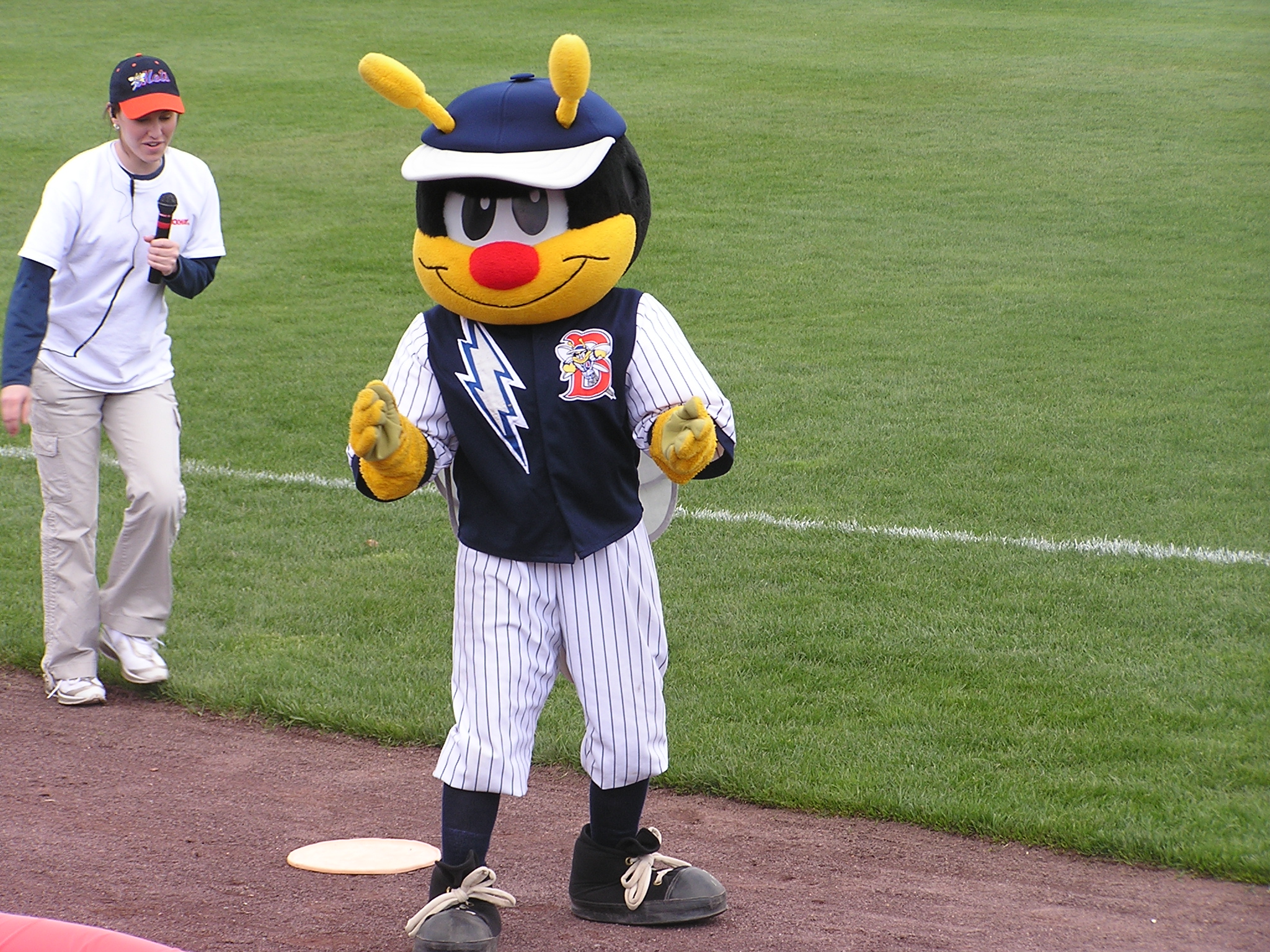 Buddy Bee - NYSEG Stadium, Binghamton